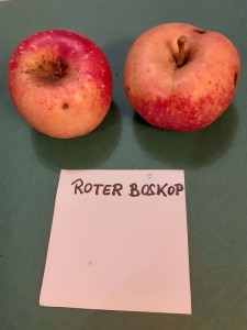 Apfelsorten022